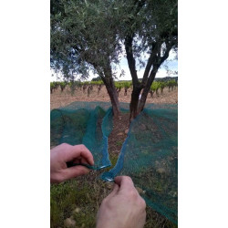 Filet de récolte vert anti-UV fendu double trame 50gr / m2 pour olives, châtaignes, amandes et noisettes