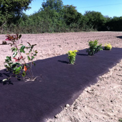 Feutre de Paillage 190 g/m2 PLA 100% Biodégradable - Rouleau de 100m